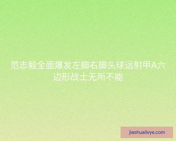 范志毅全面爆发左脚右脚头球远射甲A六边形战士无所不能