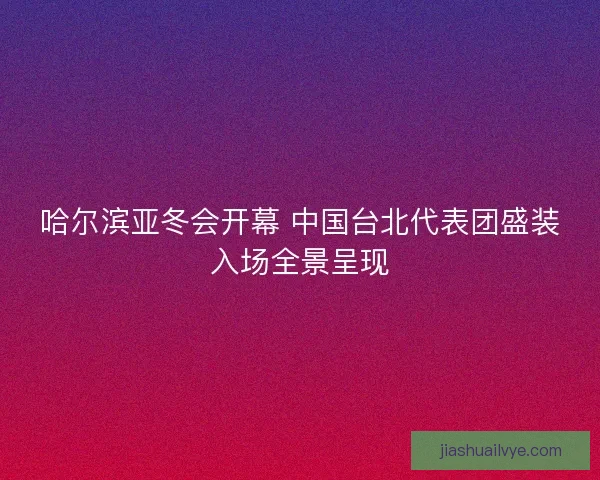 哈尔滨亚冬会开幕 中国台北代表团盛装入场全景呈现